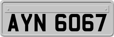 AYN6067