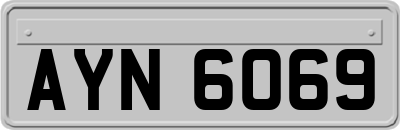 AYN6069