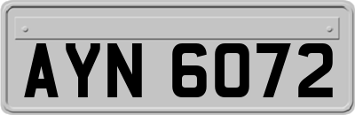 AYN6072