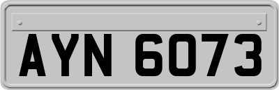 AYN6073