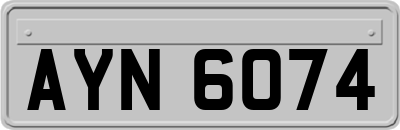 AYN6074
