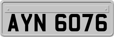 AYN6076