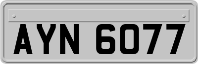 AYN6077