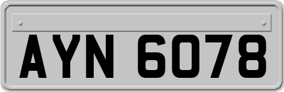 AYN6078