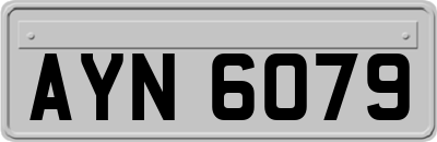 AYN6079