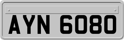 AYN6080