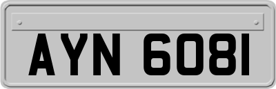 AYN6081