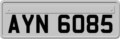 AYN6085