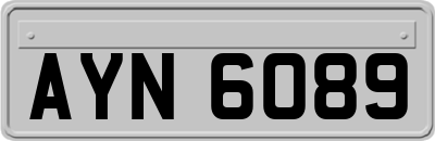 AYN6089