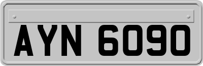 AYN6090
