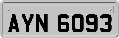 AYN6093