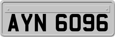 AYN6096