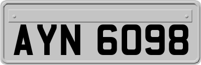 AYN6098