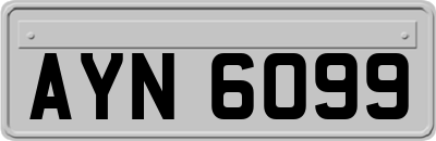 AYN6099