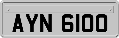AYN6100