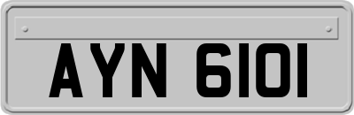 AYN6101