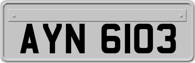 AYN6103