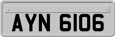 AYN6106