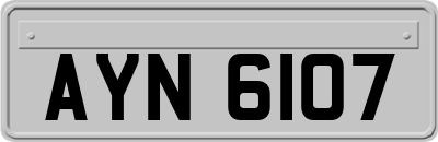 AYN6107