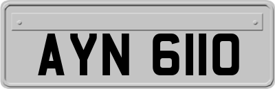 AYN6110