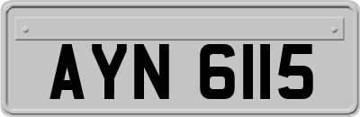 AYN6115