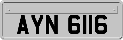AYN6116