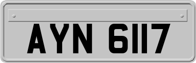 AYN6117