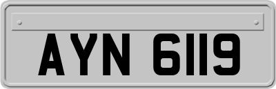AYN6119