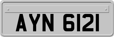 AYN6121