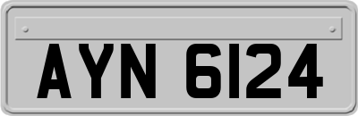 AYN6124