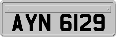 AYN6129