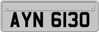 AYN6130