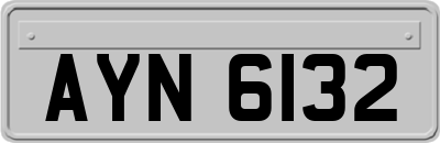 AYN6132