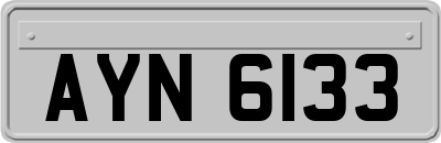 AYN6133
