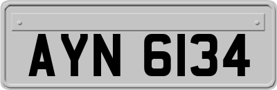 AYN6134