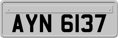 AYN6137