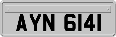 AYN6141