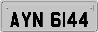 AYN6144