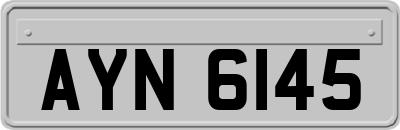 AYN6145