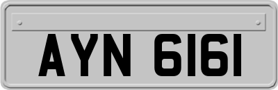 AYN6161
