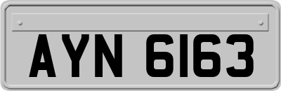 AYN6163