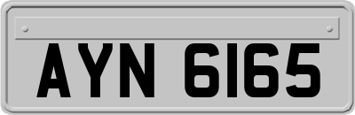 AYN6165