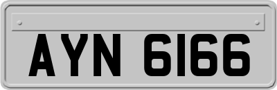 AYN6166