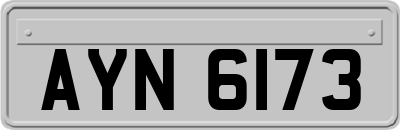 AYN6173