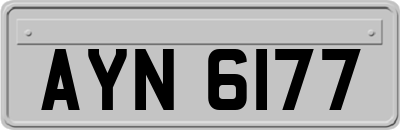 AYN6177