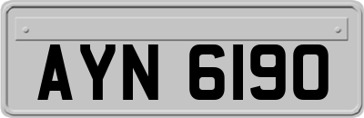 AYN6190