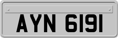 AYN6191