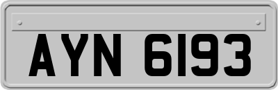 AYN6193