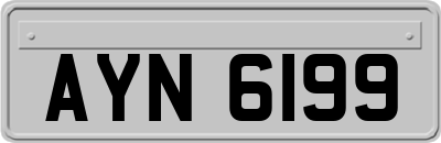 AYN6199