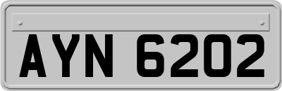 AYN6202